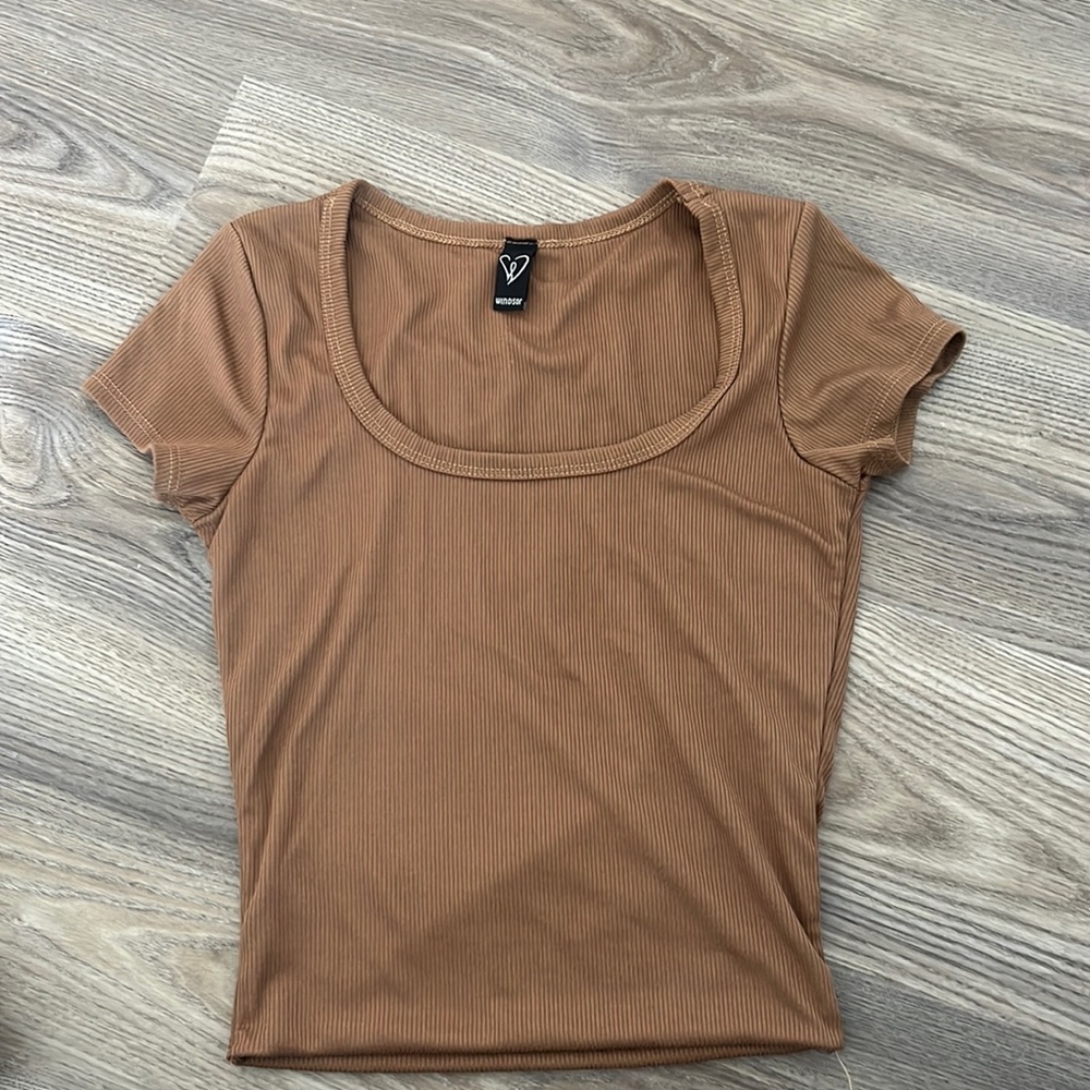 Windsor brown crop top